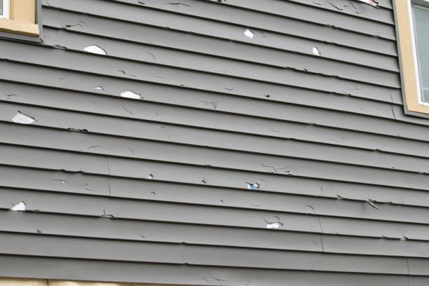 Affordable siding repair and maintenance services in Farmville, NC